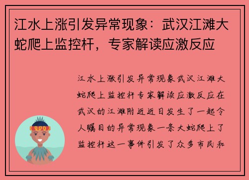 江水上涨引发异常现象：武汉江滩大蛇爬上监控杆，专家解读应激反应